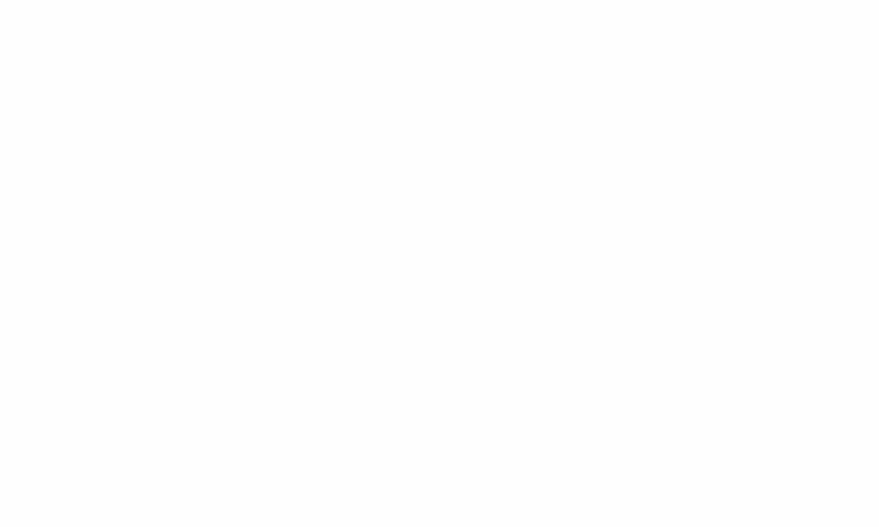 A dove waiting in an open door, the official logo of Midland's Open Door